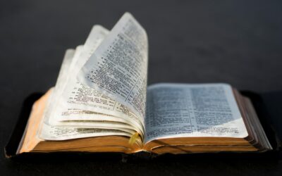 Catholic vs Christian Bible