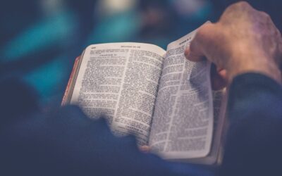 How Many Books in Catholic Bible? 