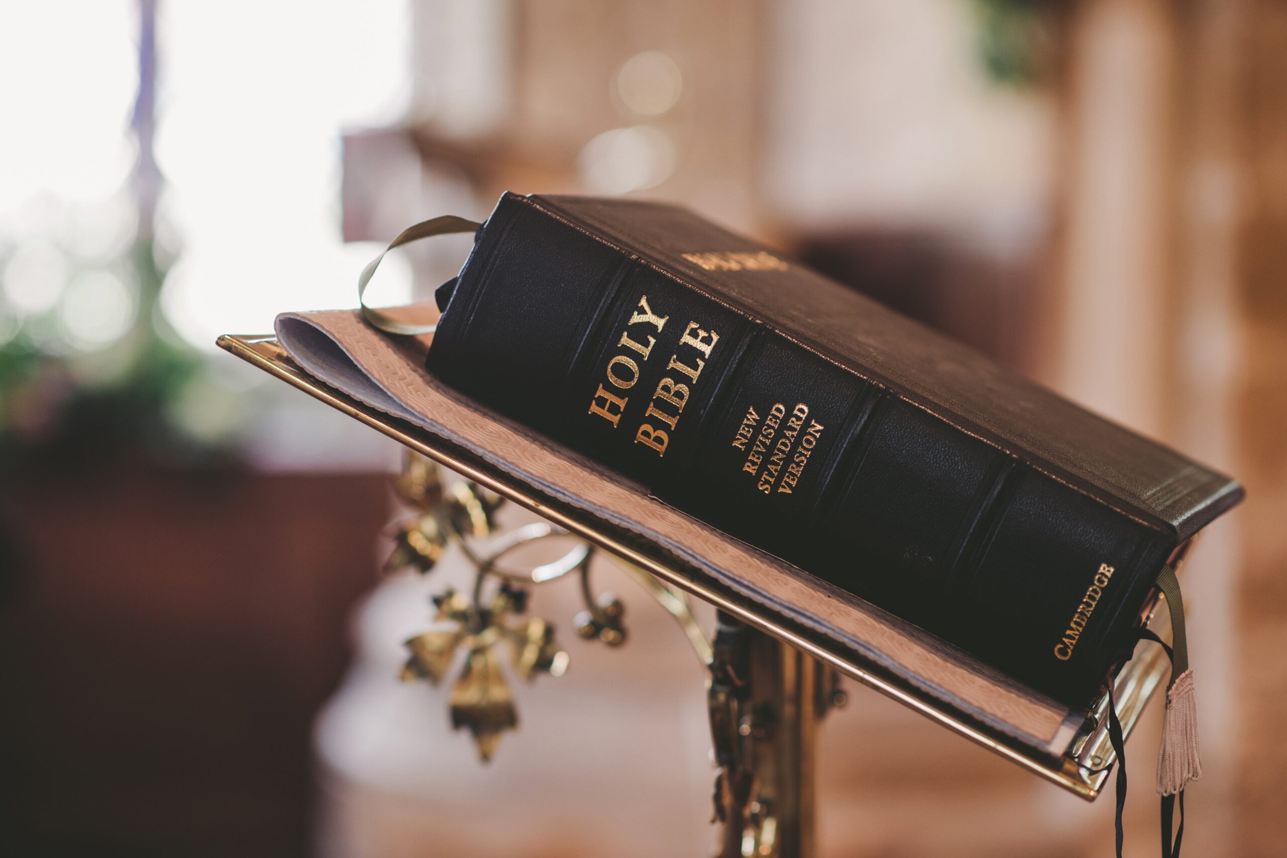 Do Catholics Read the Bible?