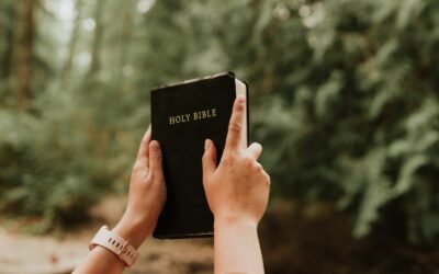 Meaning of 911 in the Bible