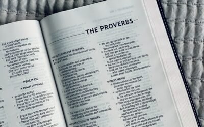 Proverbs 31 Woman – Bible Study