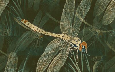 What Does a Dragonfly Symbolize In The Bible?