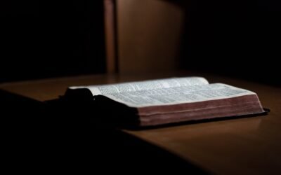 What Are the 12 Sins in the Bible?