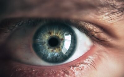 What Does the Bible Say About Watching Bad Things?